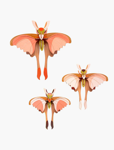 Bouwpakket vlinders - set van 3 - Lievelingshop