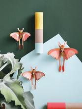 Afbeelding in Gallery-weergave laden, Bouwpakket vlinders - set van 3 - Lievelingshop
