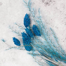 Afbeelding in Gallery-weergave laden, Mix set droogbloemen Blauw - Lievelingshop
