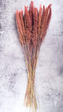 Afbeelding in Gallery-weergave laden, Roze fluffy pampas set van 10 - Lievelingshop
