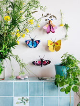 Afbeelding in Gallery-weergave laden, Wanddecoratie | Longwing Butterfly - Lievelingshop
