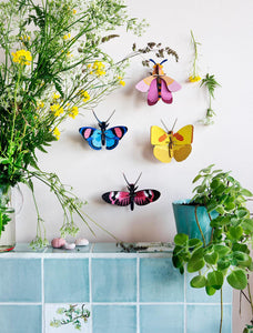 Wanddecoratie | Longwing Butterfly - Lievelingshop