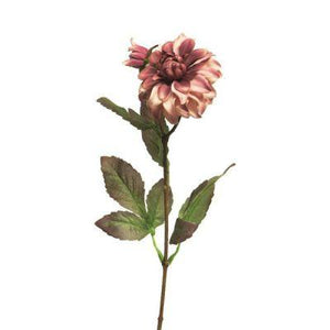 Zinnia roze 63cm - Lievelingshop
